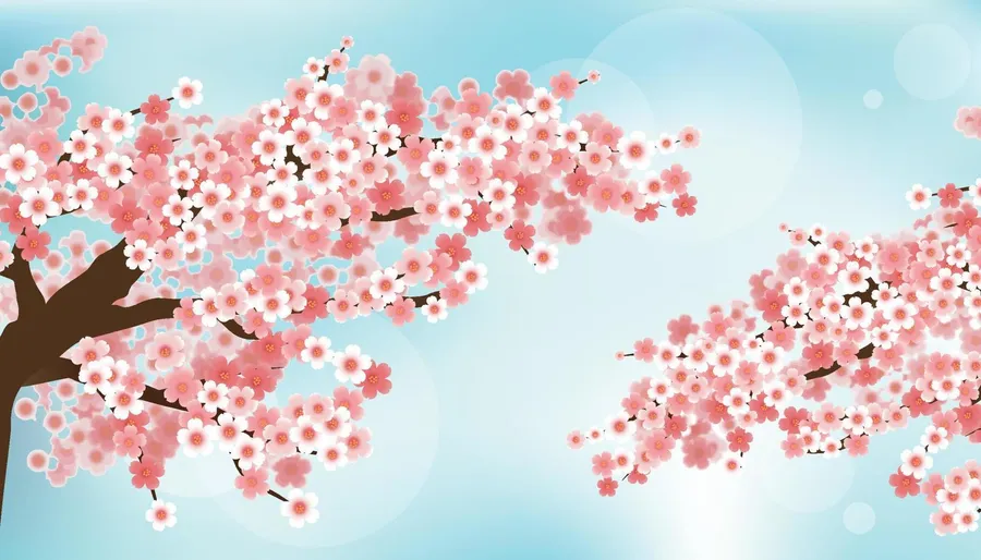 sakura tree Background
