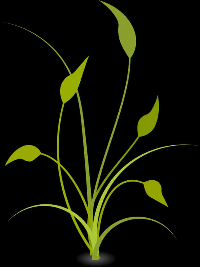 Abstract Green Plant Graphic