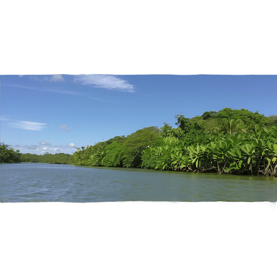 Mangrove Fishing Community PNG yal