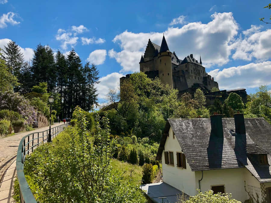 Vianden Schloss Luxemburg Sonniger Tag