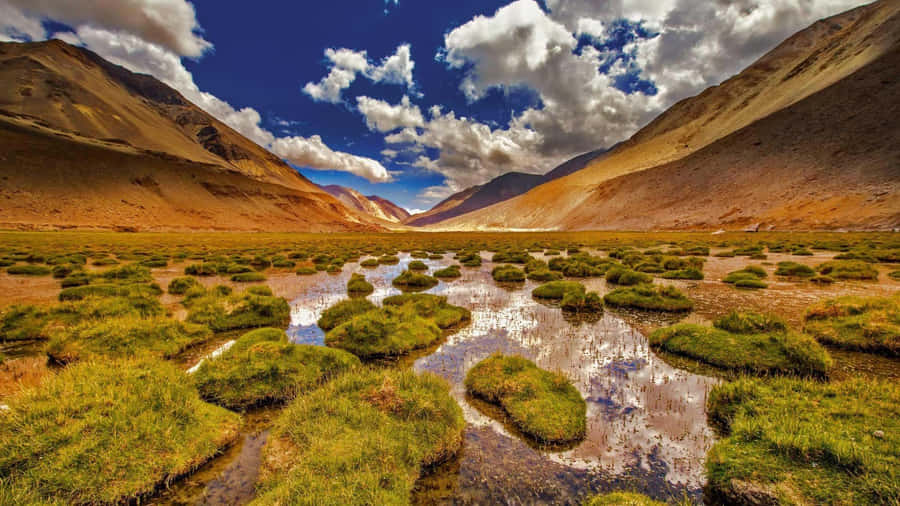 Vista Scenica della Valle del Kashmir