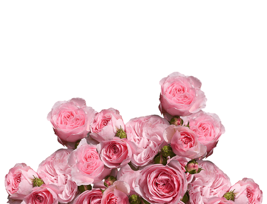 Bouquetof Pink Roseson Teal Background