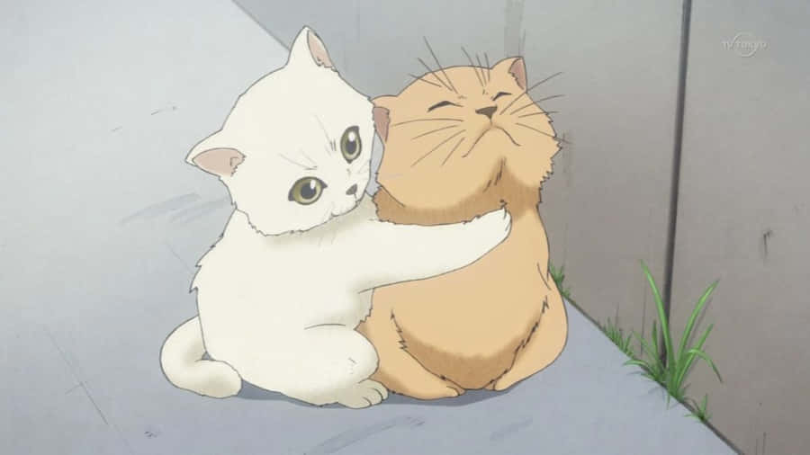 Fanget glimt af denne charmerende legesyge Anime Kat.