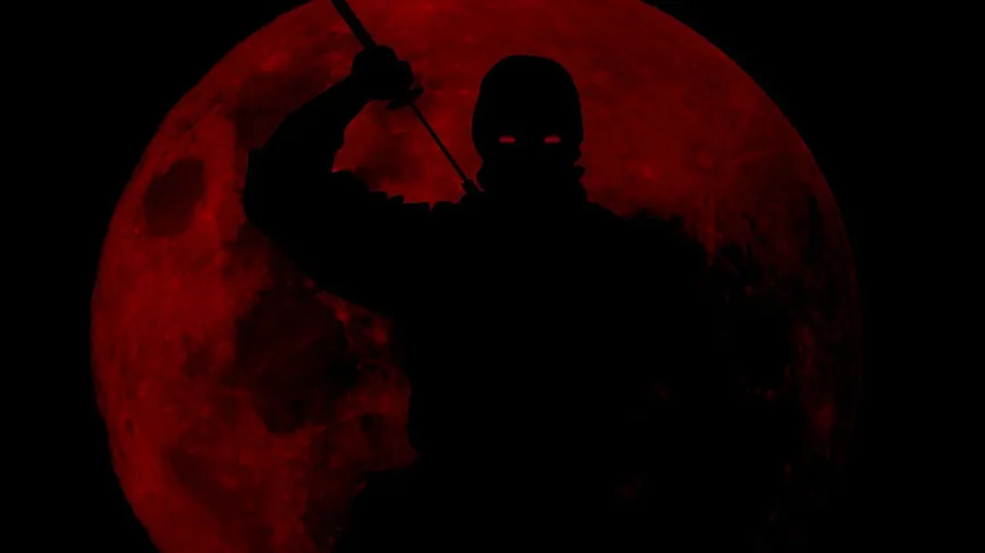 Cool Ninja