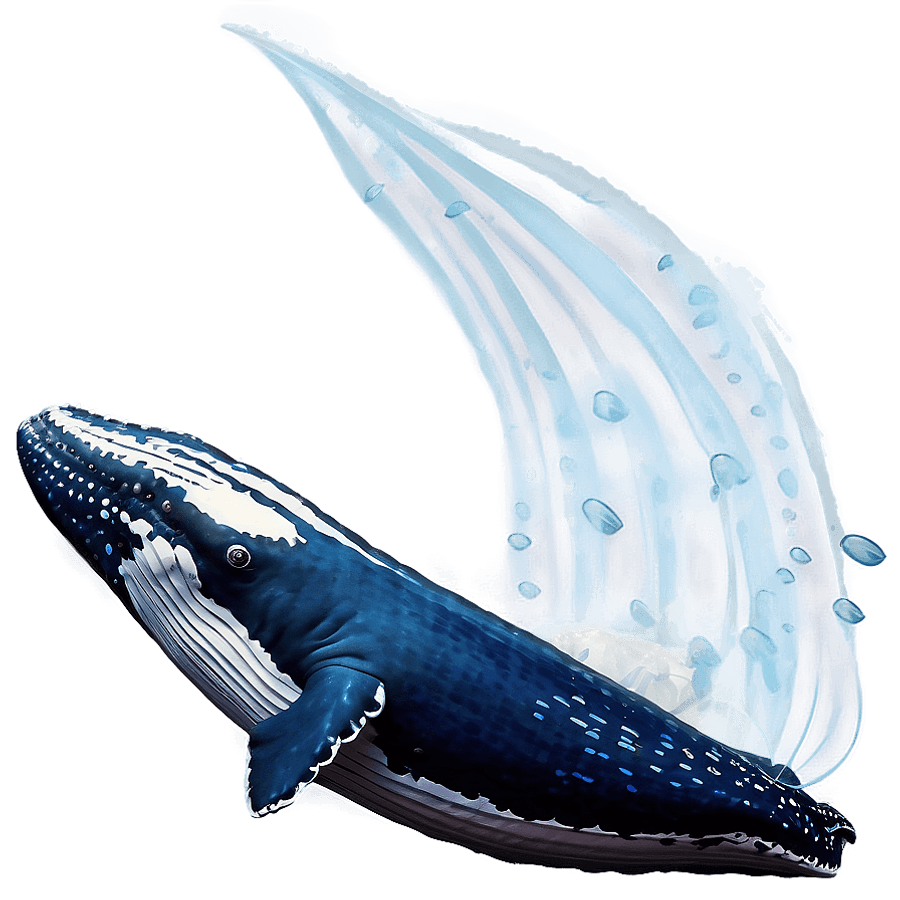 Humpback Whale Gentle Giant PNG 64