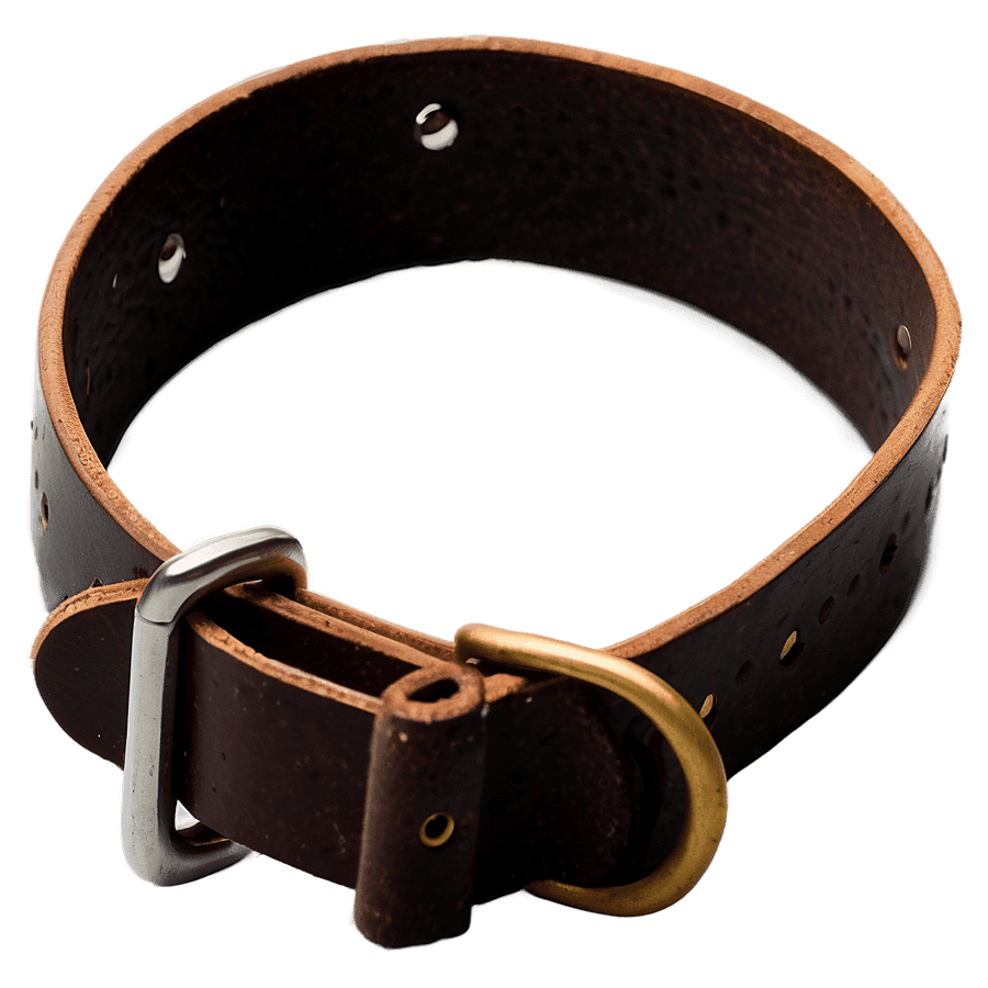 Leather Dog Collar PNG sto5