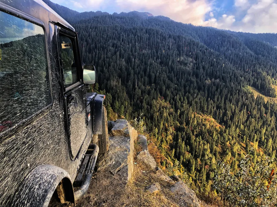 Thar 4K Forest View