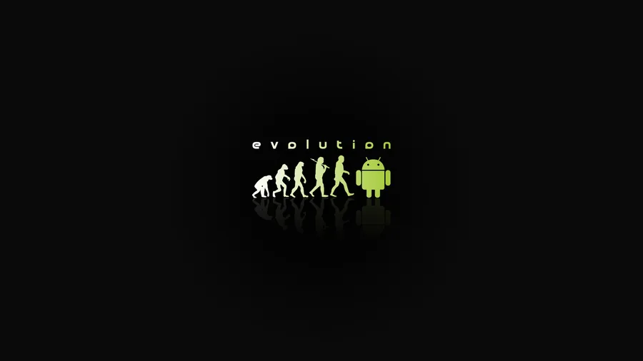 Android Developer