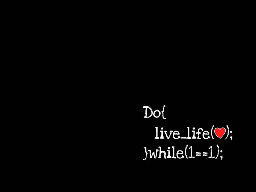 Programming Hd