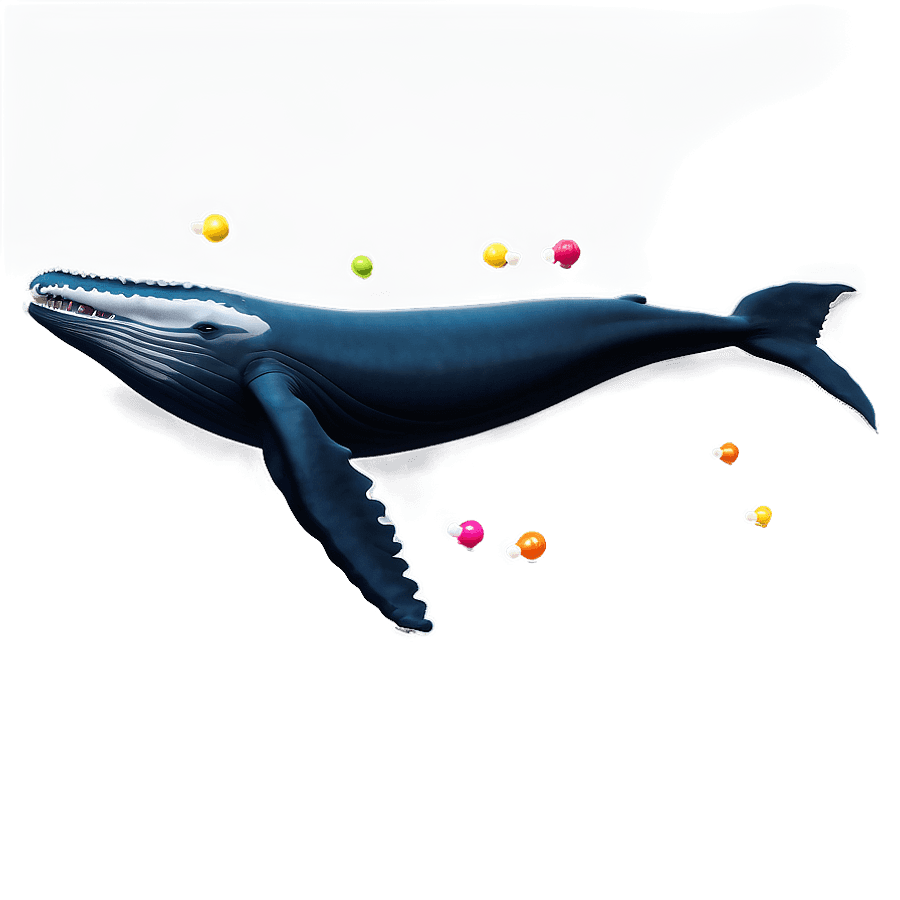 Playful Humpback Whale PNG rok
