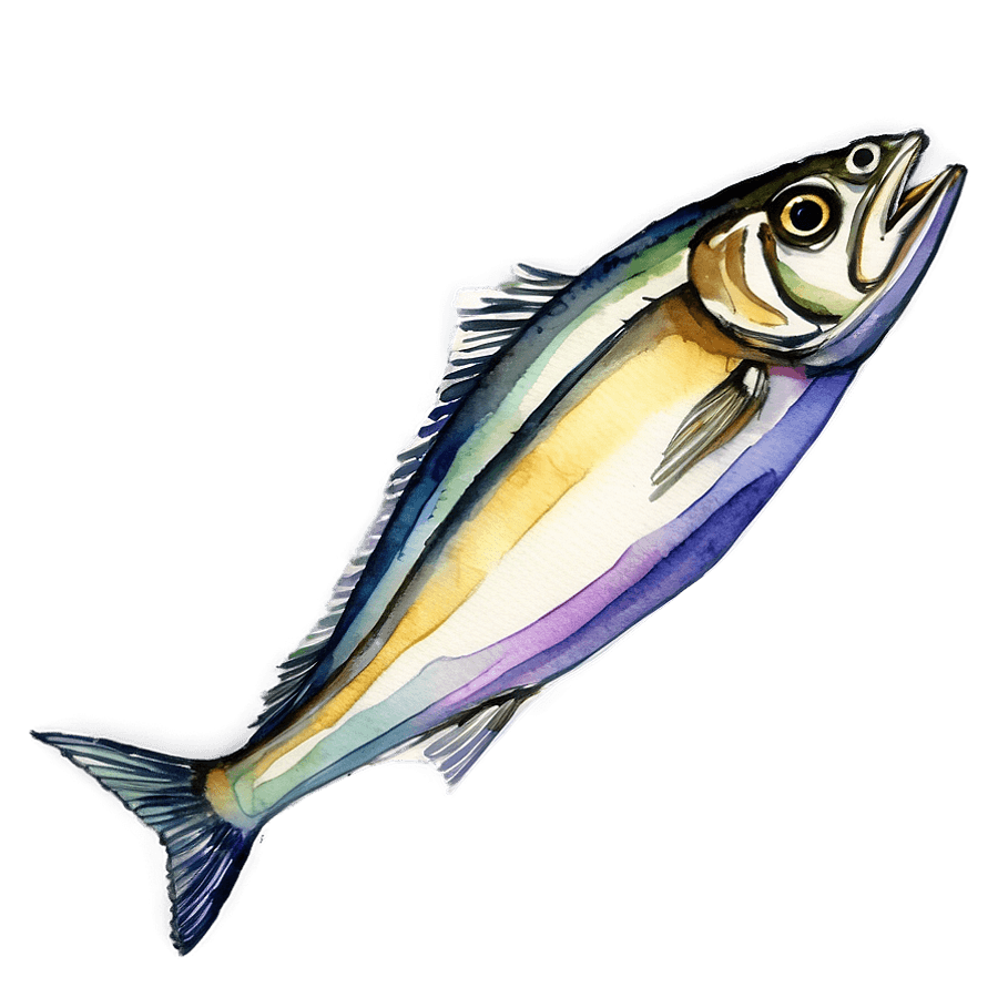 Watercolor Sardine PNG 63