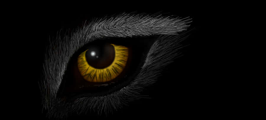 Vargögon1140 x 515 tapet