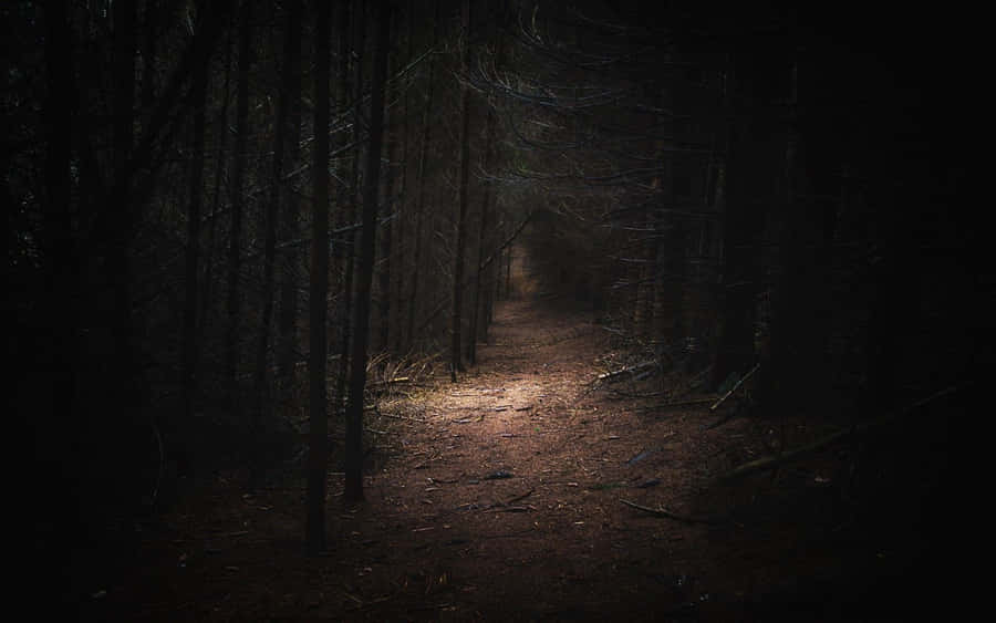 Papelde parede "Dark Landscape" em 1920 x 1200.