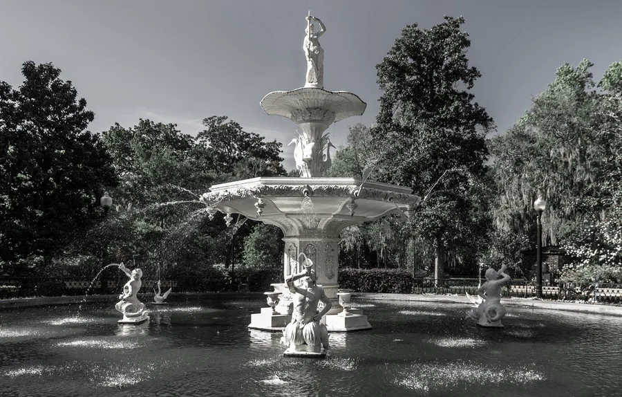 Savannah Background