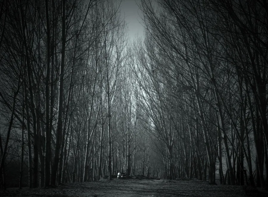 haunted background