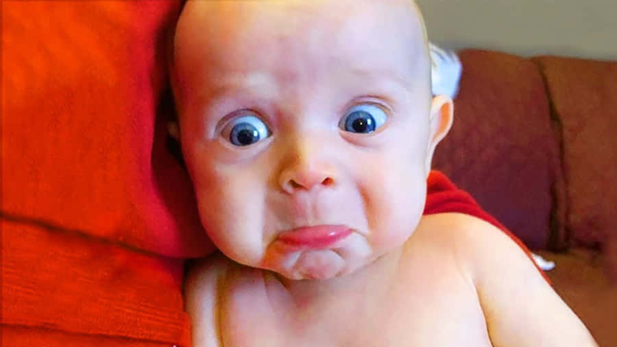 LustigeBabybilder