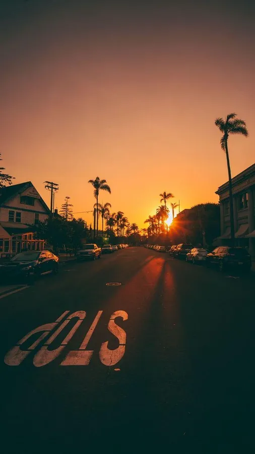 Cool Vibes