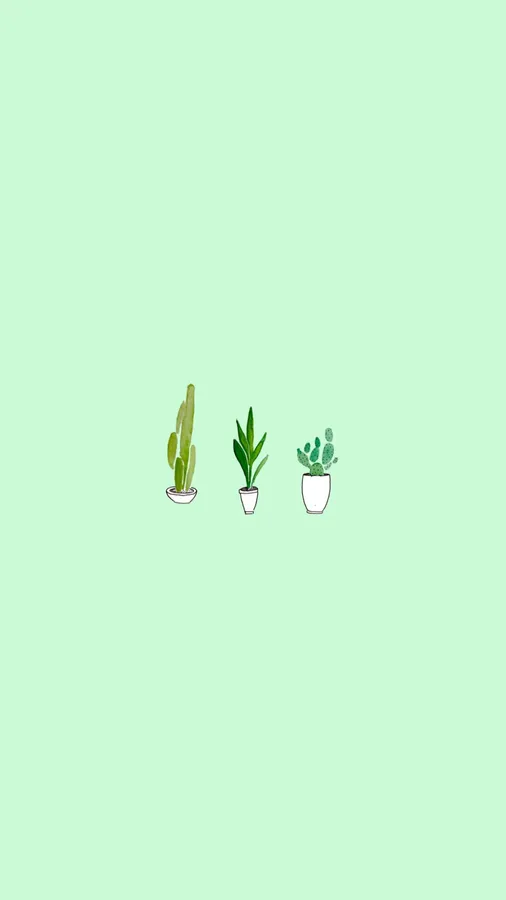 Basic background
