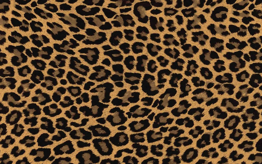Cheetah Print background