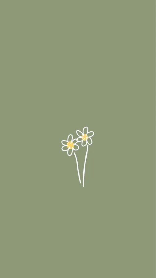 Basic background