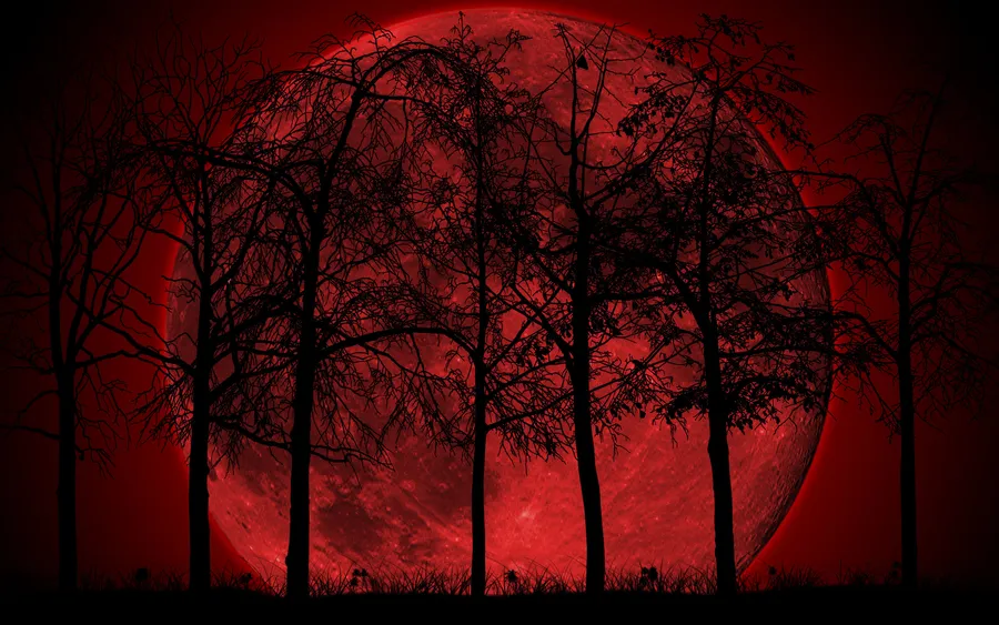 Red Moon Forest Background