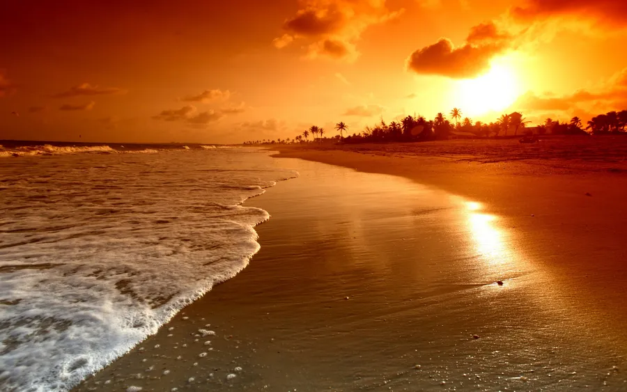 Beach Sunset Background