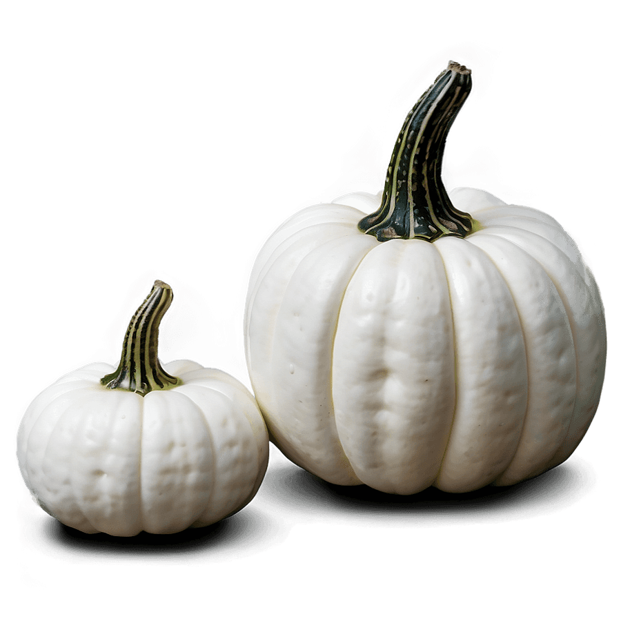 White Pumpkin Arrangement PNG 93