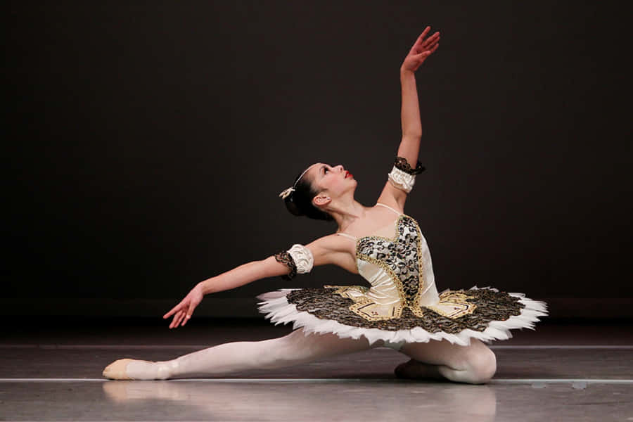 Smuk pige ballet danser billede tapet
