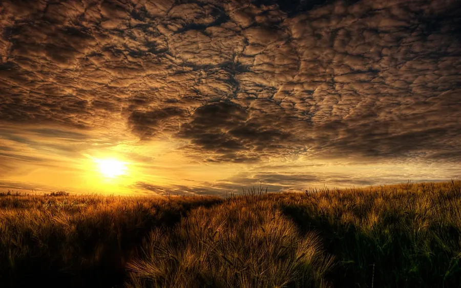Sunset pictures
