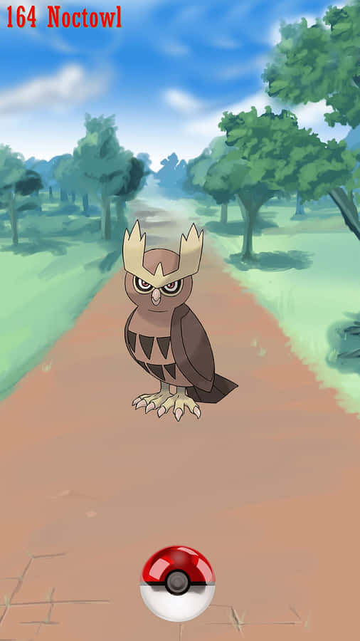 Noctowl Pokémon Begegnung
