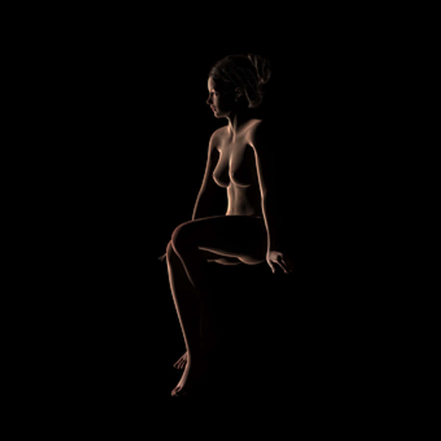 Elegant Silhouette Woman Seated