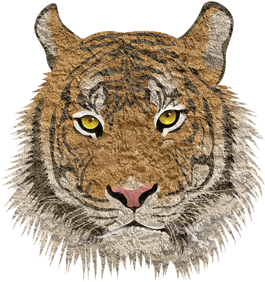 Textured Tiger Face Illustration