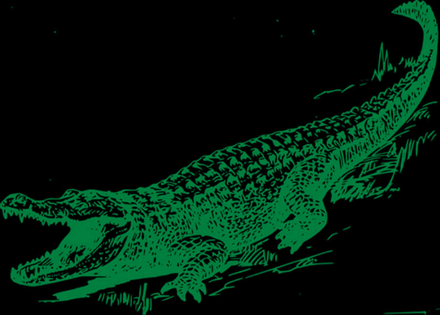 Green Alligator Illustration