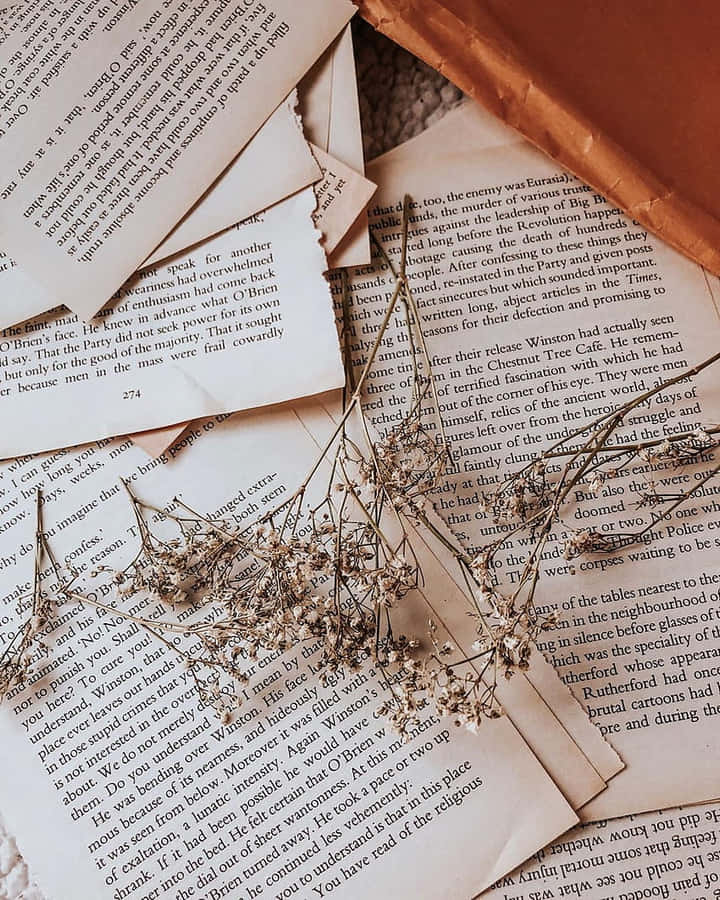 BuchseitenHintergrund
