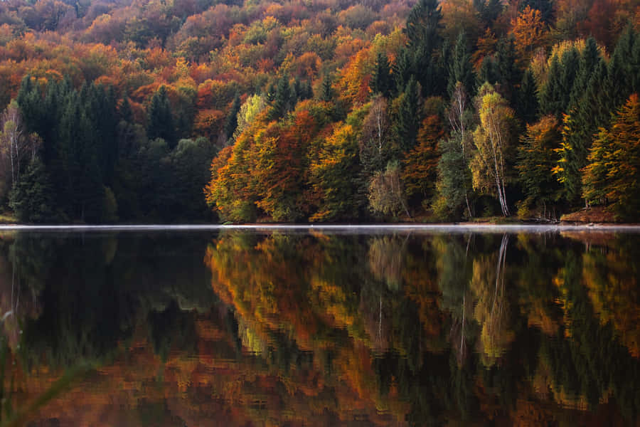 1920x1080 Hd Fall