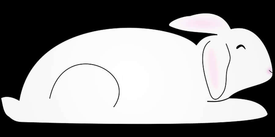 Resting Rabbit Silhouette