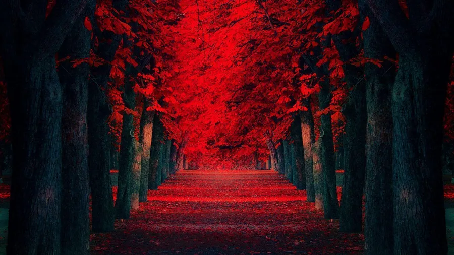 Red Pc