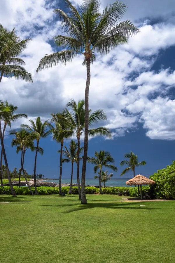 Hawaii Iphone