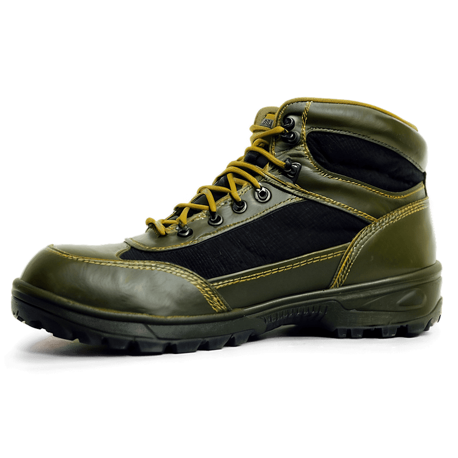 Army National Guard Boots PNG 06292024