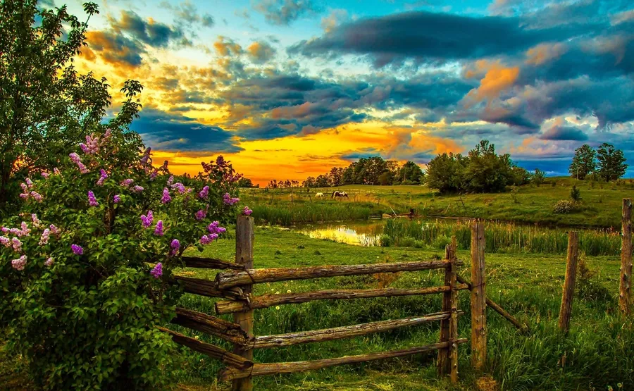 Barn Background