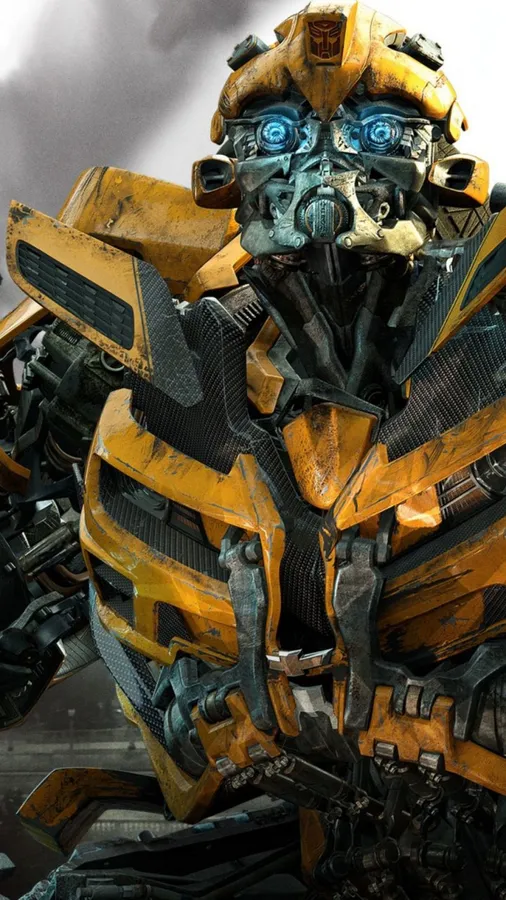 Bumblebee Pictures