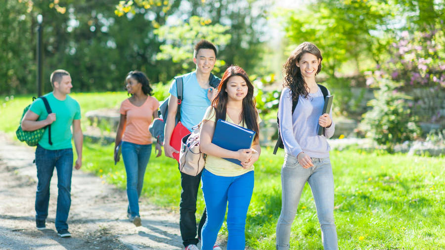 Grupode estudantes universitários animados