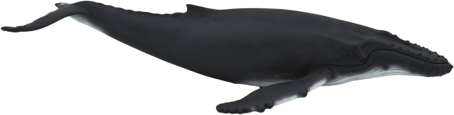 Humpback Whale Silhouette