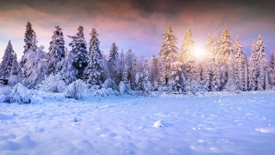 Winter Background