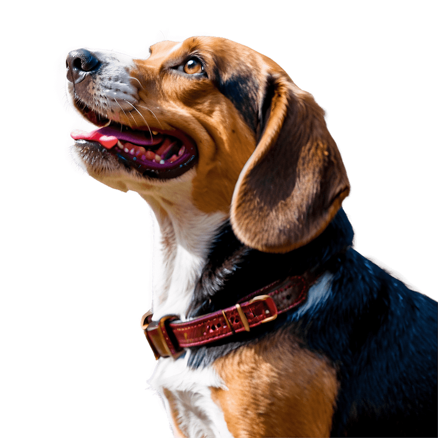 Smiling Beagle Dog PNG pgf40