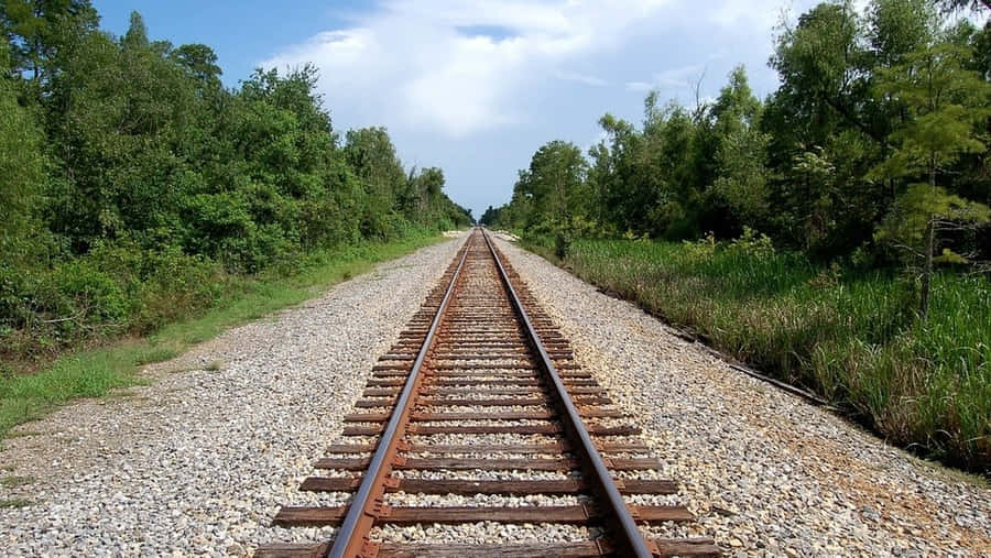 Folgeden Bahngleisen auf ein neues Abenteuer