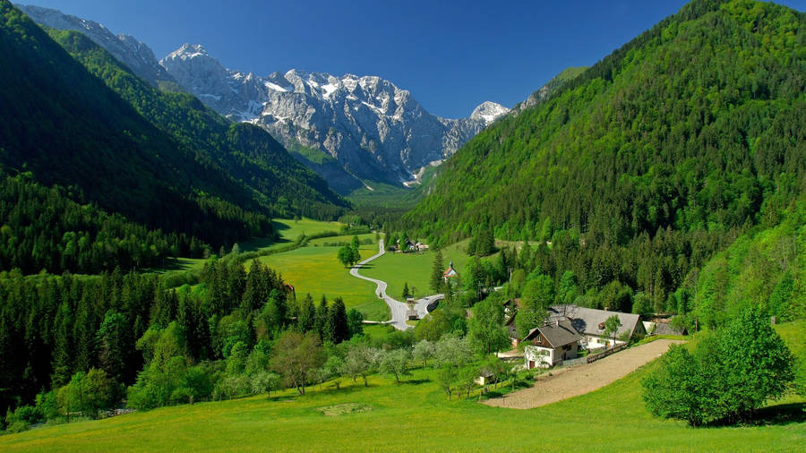 1920x1080 Fuld HD Natur Grøn Sceneri Wallpaper
