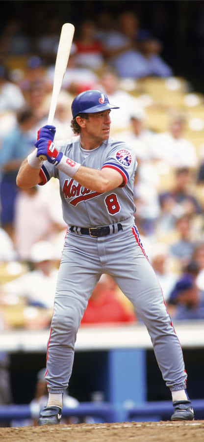 Baseball Batter Stance Expos