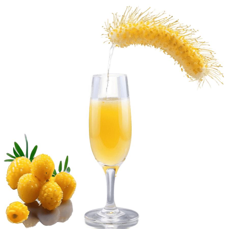 Perfect Mimosa Ratio PNG 10