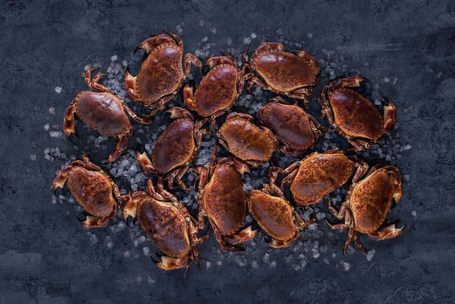 Granchi Marroni Freschi su Superficie Scura